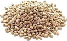 Barley Whole (pot Barley) 2Lbs