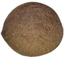 Nirav Dry Coconut (whole) 1Pcs