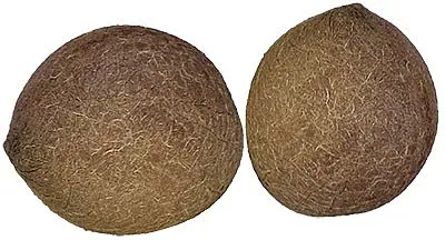 Nirav Dry Coconut (whole) - 2Pcs