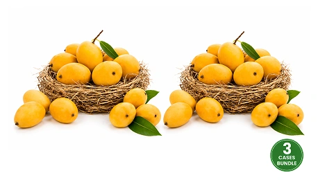 Fresh Indian Kesar Mangoes Large Combo of 24-30