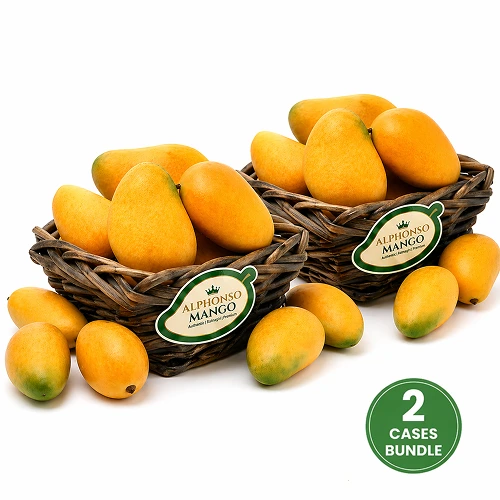  Fresh Alphonso Mango 2 Case 16-20 Pcs
