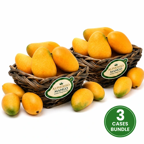 Fresh Alphonso Mango 3 Case 24-30 Pcs 