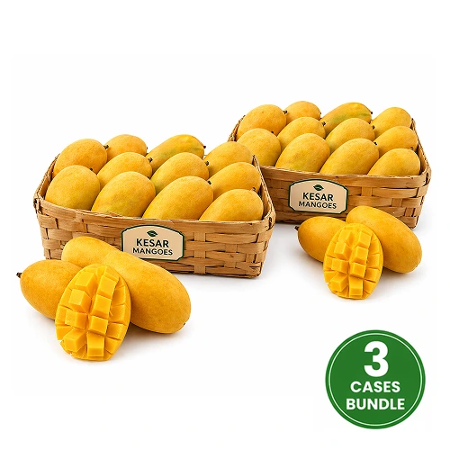 Fresh Kesar Mango 3 Case 24-30 Pcs 