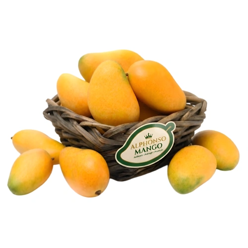 Fresh Alphonso Mango 1 Case 8-10 PCS 
