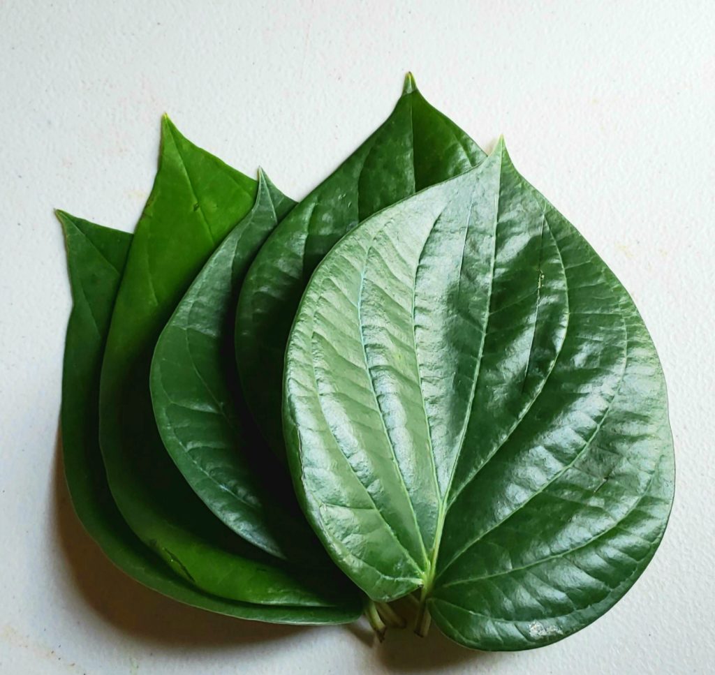 Betle/Pan/Paan Leaves/Tamala Pakulu -