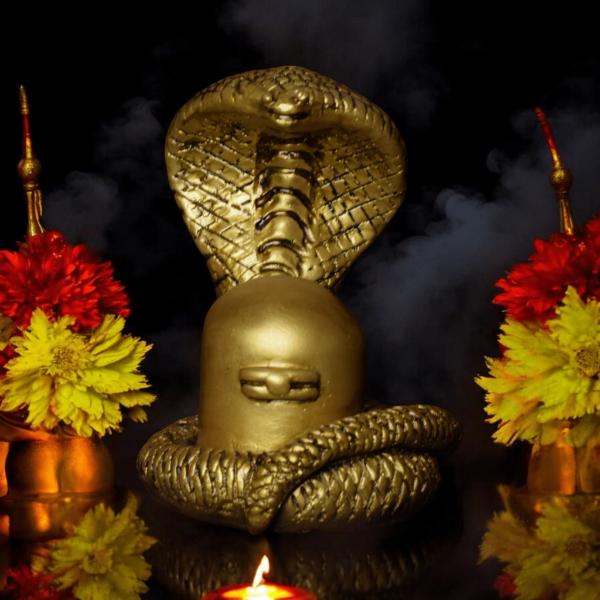 Shivling with Snake Idol  Sacred Hindu Symbol of Divine Energy