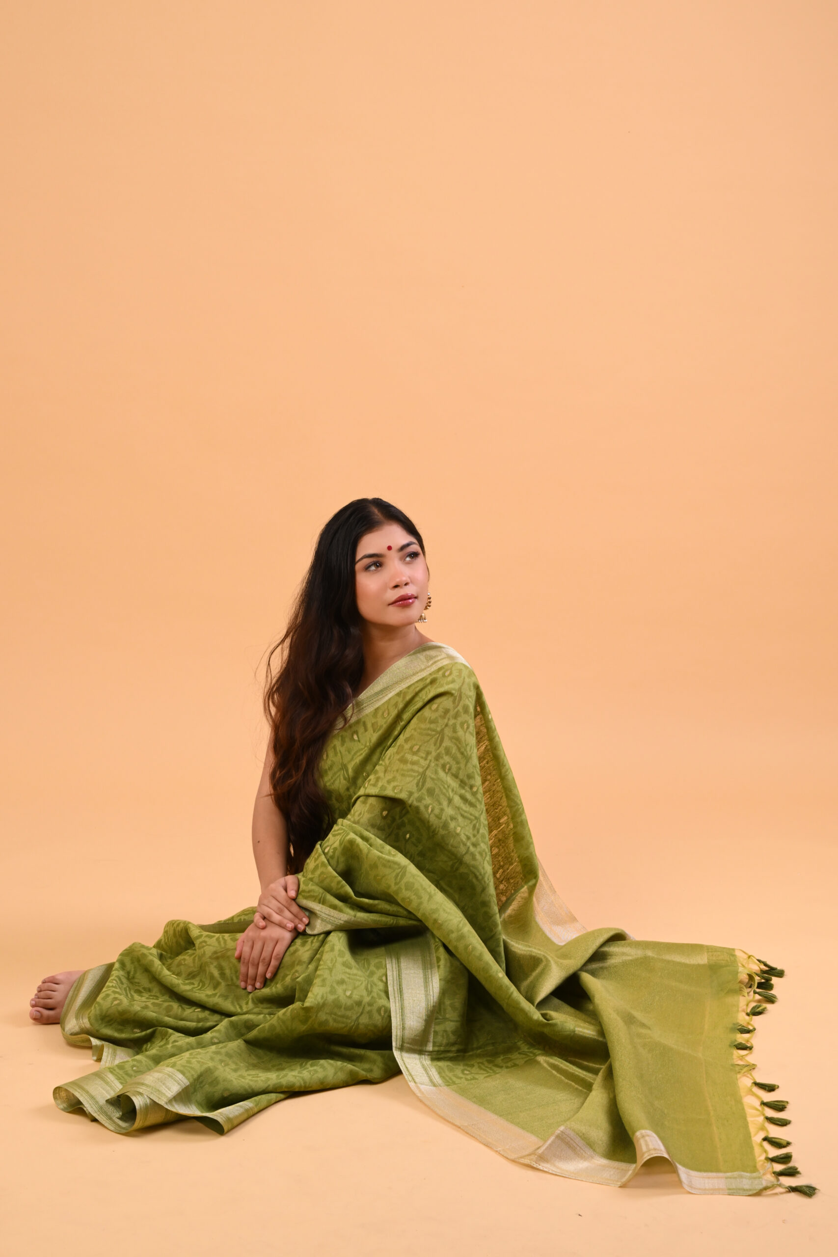 Tribute to chettinad saree