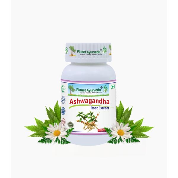 Ashwagandha Capsules  Best herbal remedy for maintaining neurological health and well being 60 capsules