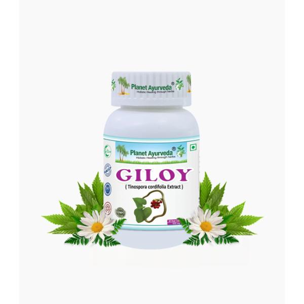 Giloy Capsules  herbal remedy for relieving fever inflammation  60 capsules