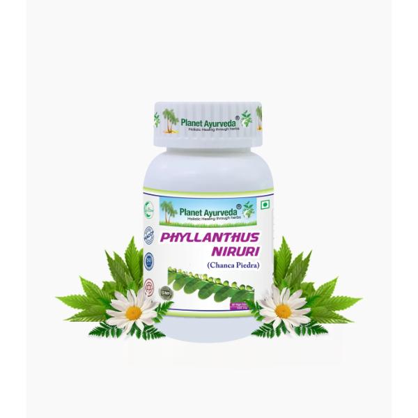 Phyllanthus Niruri Capsules herbal remedy for good liver health It is known as Chanca Piedra or Stone Breaker  60 capsules