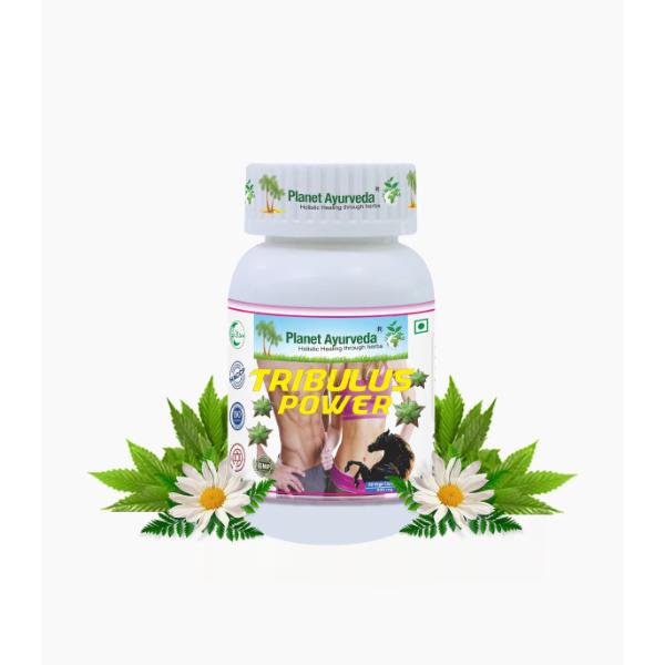 Tribulus Power Capsules  herbal remedy which improves male health 60 capsules