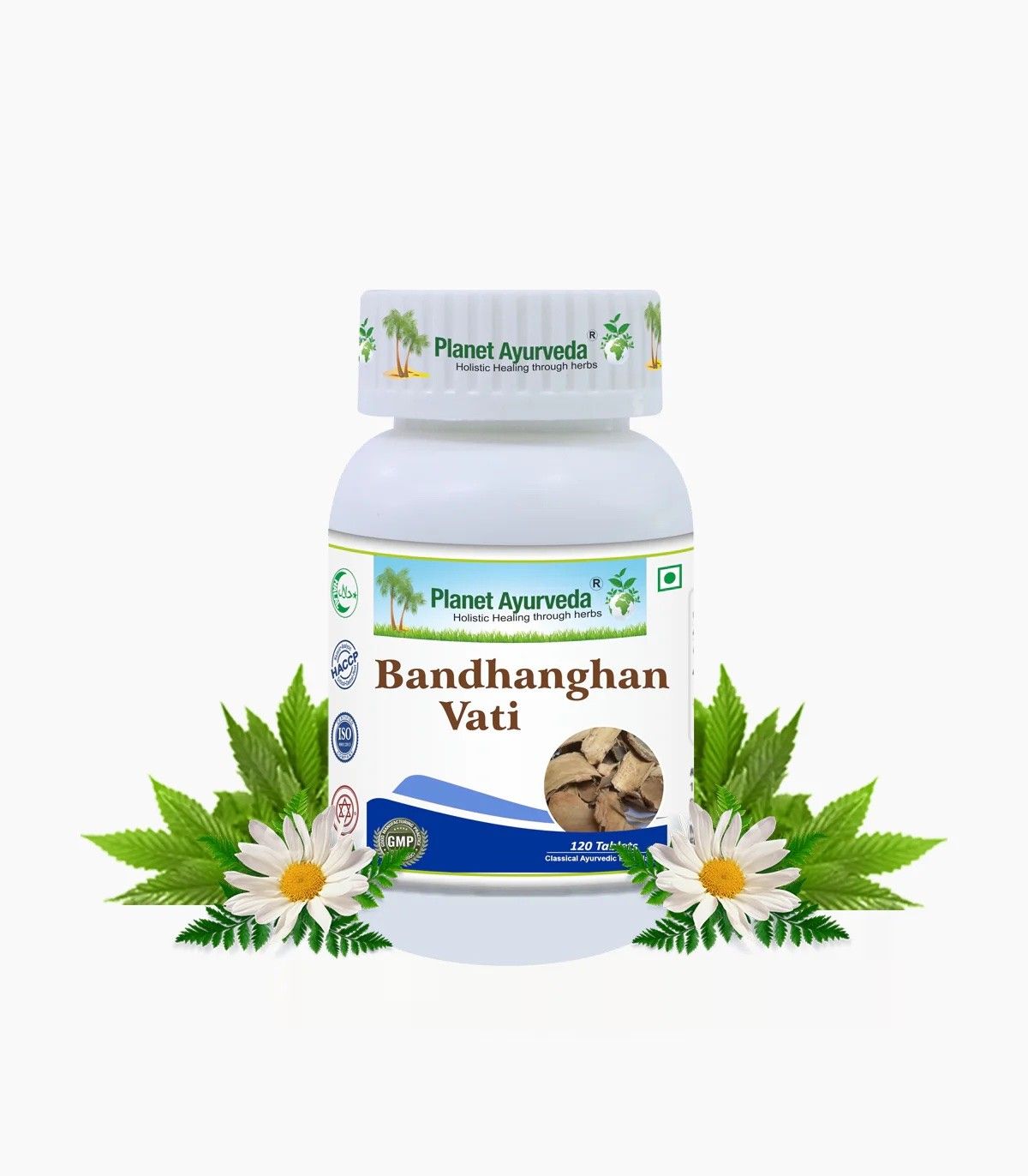 Bandhanghan Vati herbal remedy that supports and maintains a healthy digestive system  120 tablets