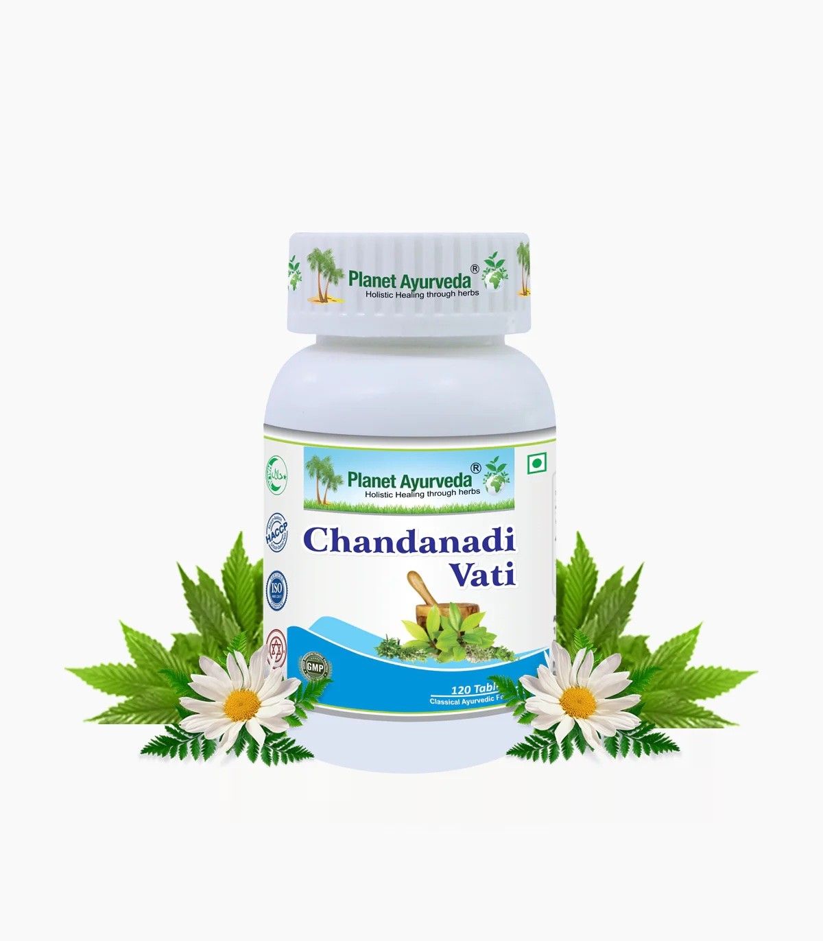 Chandanadi Vati Tablets herbal remedy for urinary infections and rental health issues 120 tablets