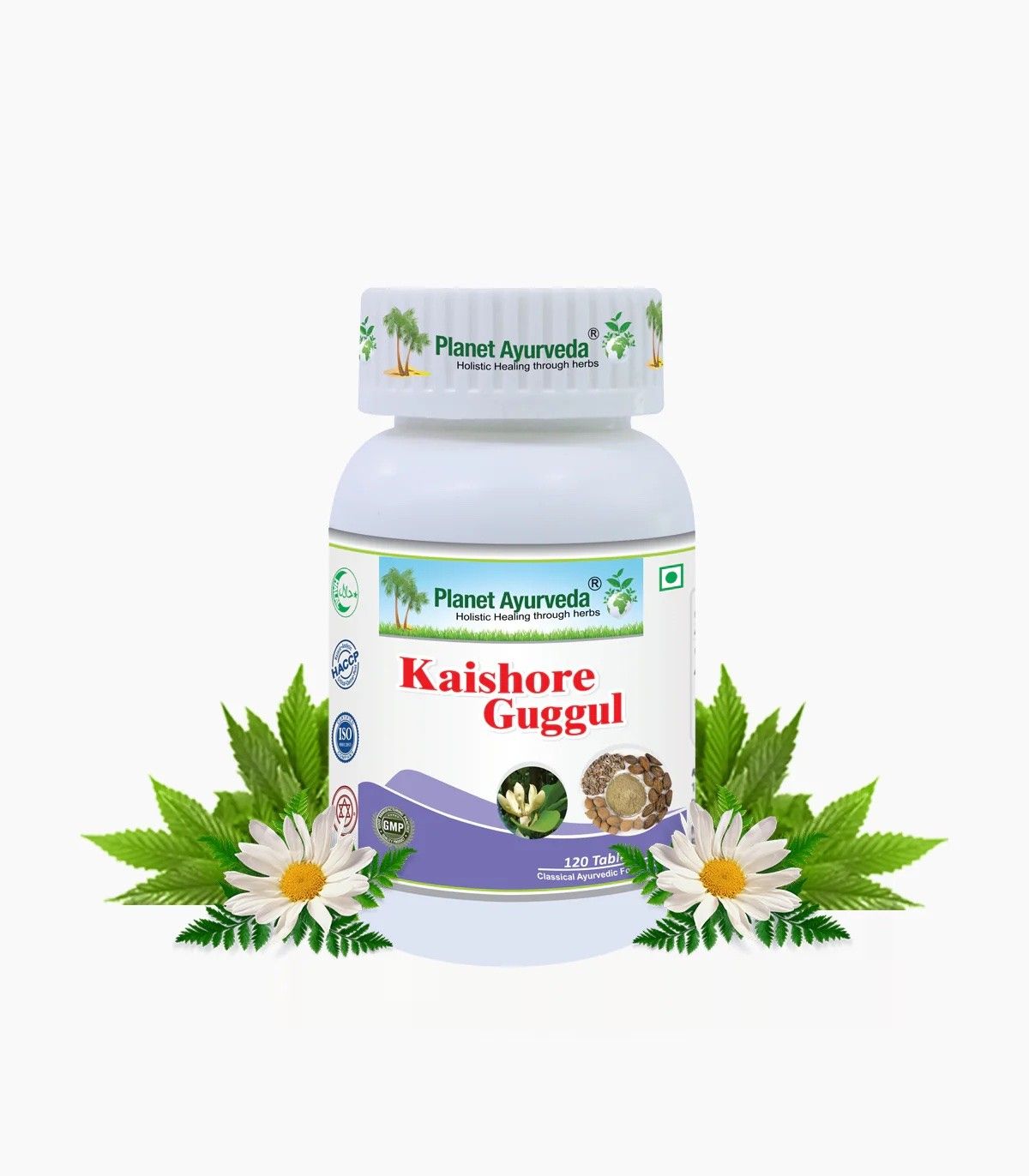 Kaishore Guggul  herbal remedy for clearing the toxins and removing uric acid from joints and muscules  120 tablets