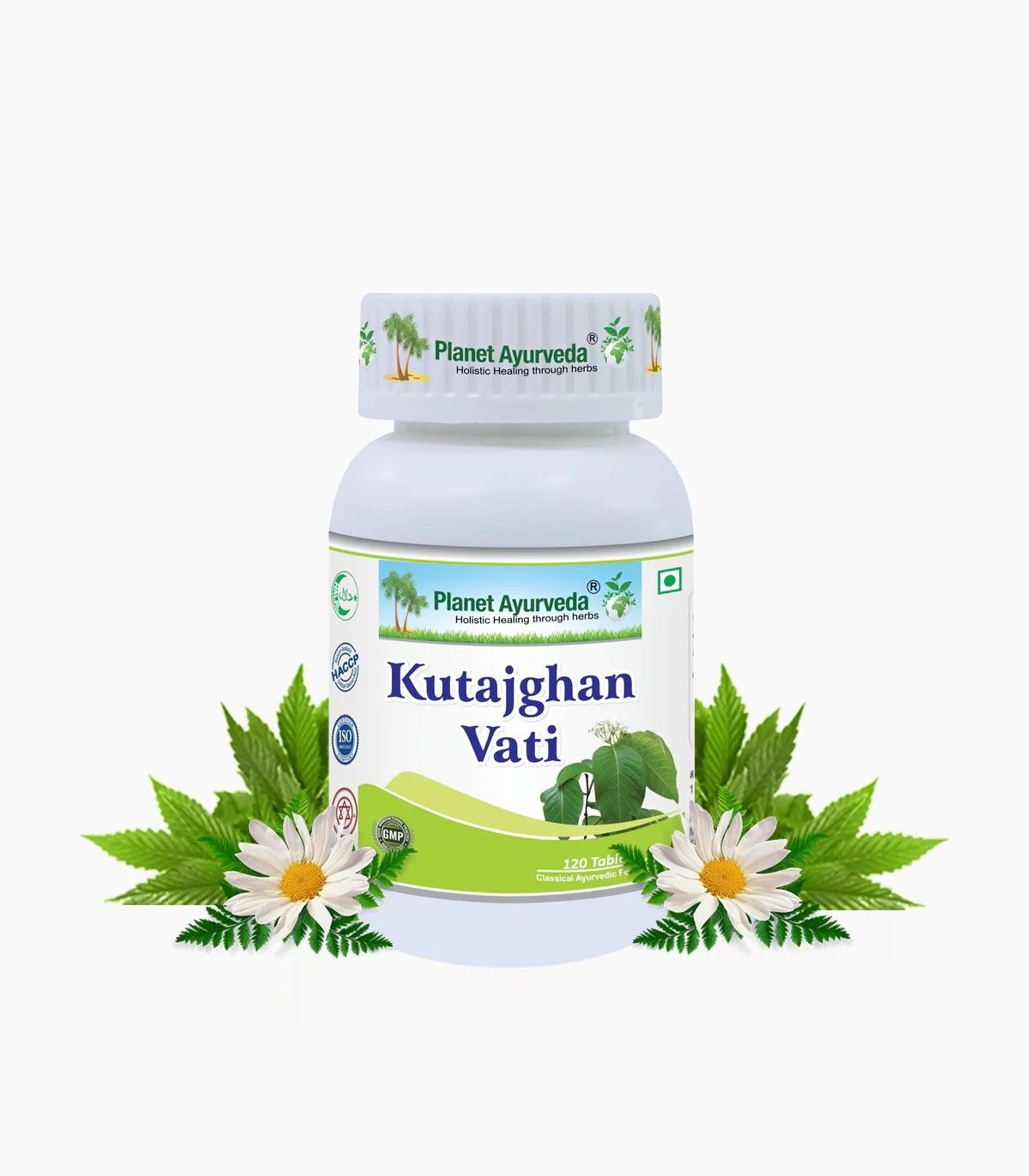 Kutajghan Vati Tablets herbal remedy for healthy digestive system useful in digestive disorders 120 tablets 