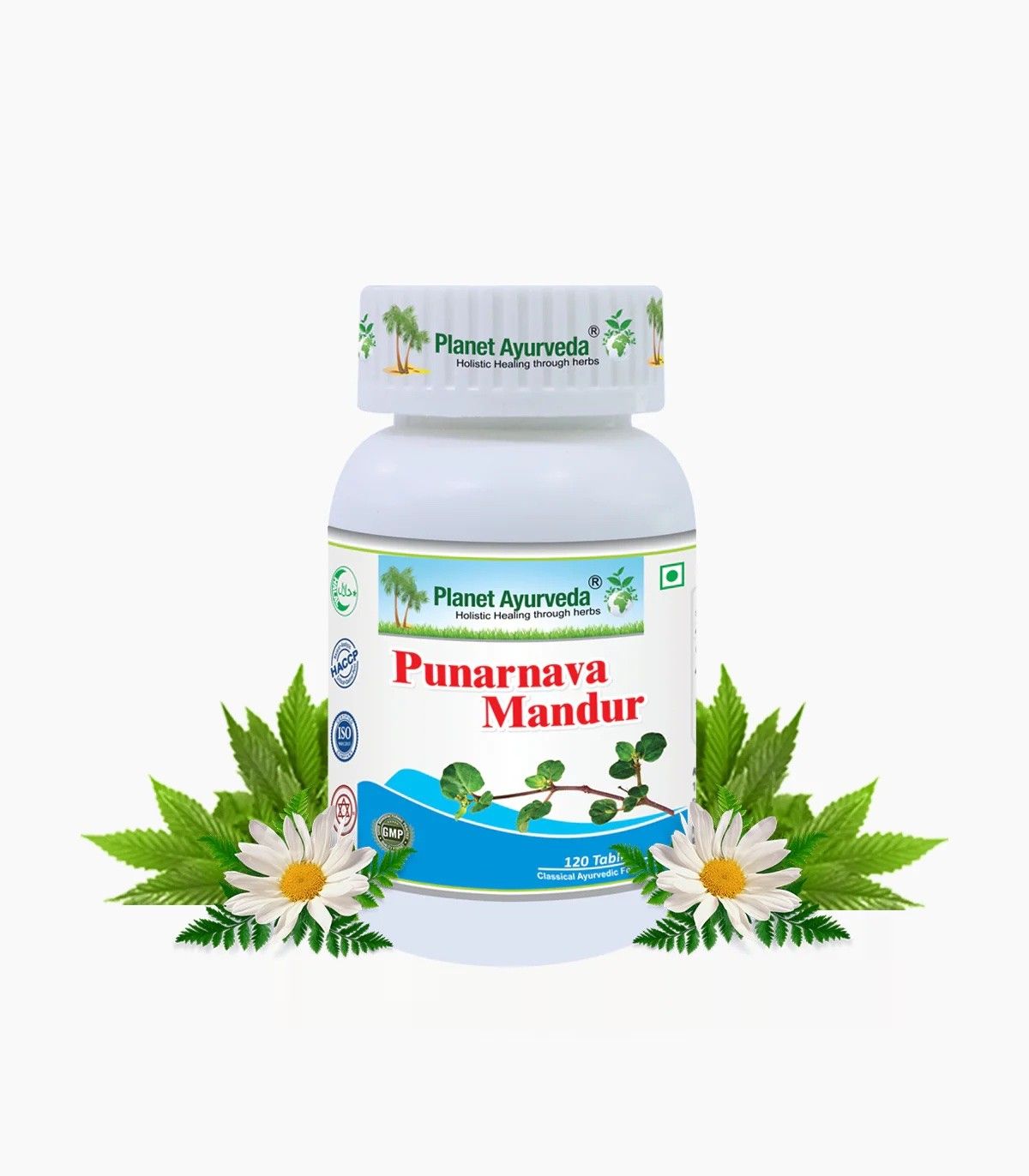 Punarnava Mandur Tablets natural remedy for water balance in the body Rich source of iron 120 tablets