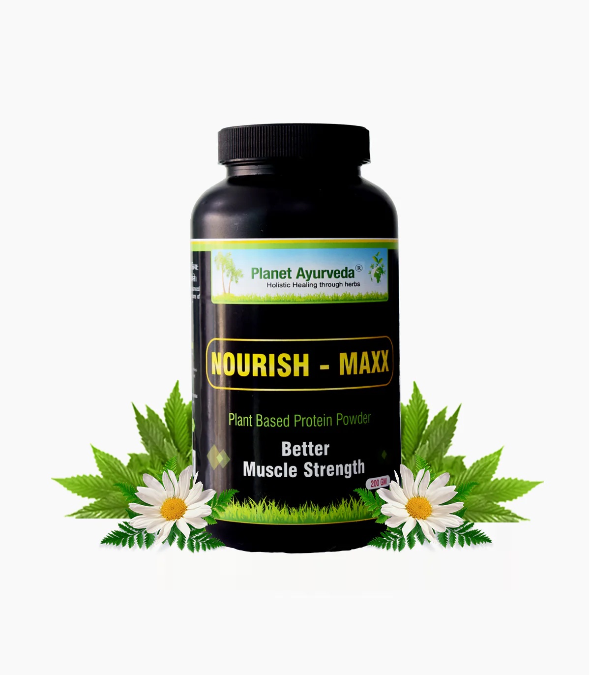 NourishMaxx  herbal supplement 100 plantbased protein solution It helps in building the muscles of your dreams 200gm powder