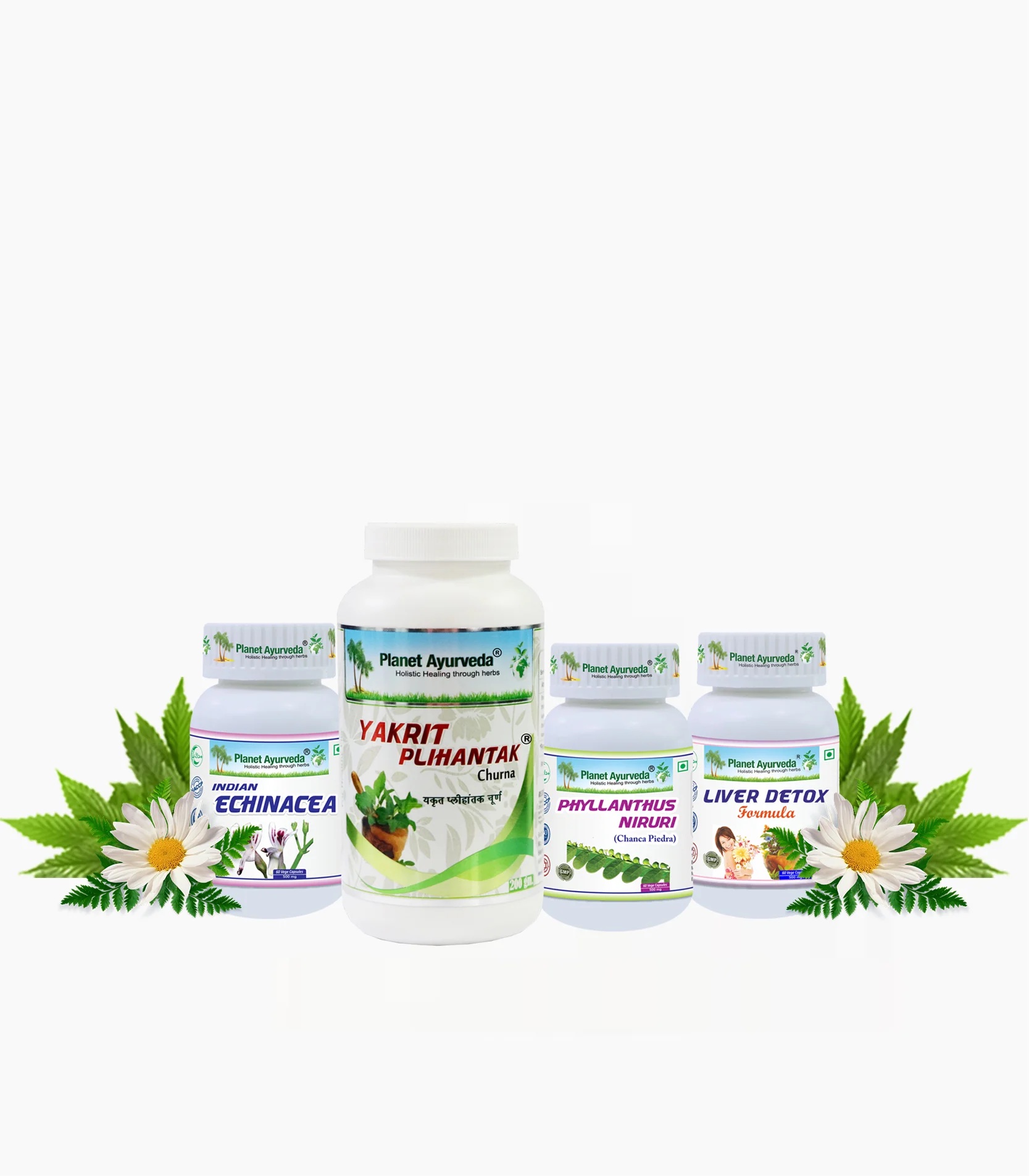 Liver Care Pack herbal remedies for liver health support in all types of liver  issues      4 herbal remedies 7 bottles