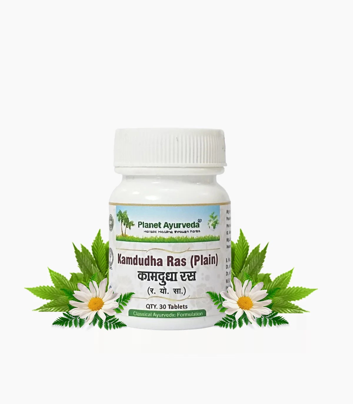 Kamdudha Ras Plain clasical ayurvedic remedy that supports digestive health 30 pills
