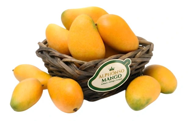 Fresh Alphonso Mango Pack