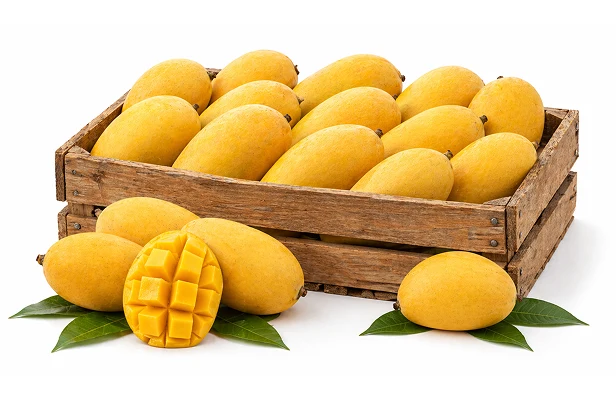 Fresh Banganapalli Mango Pack